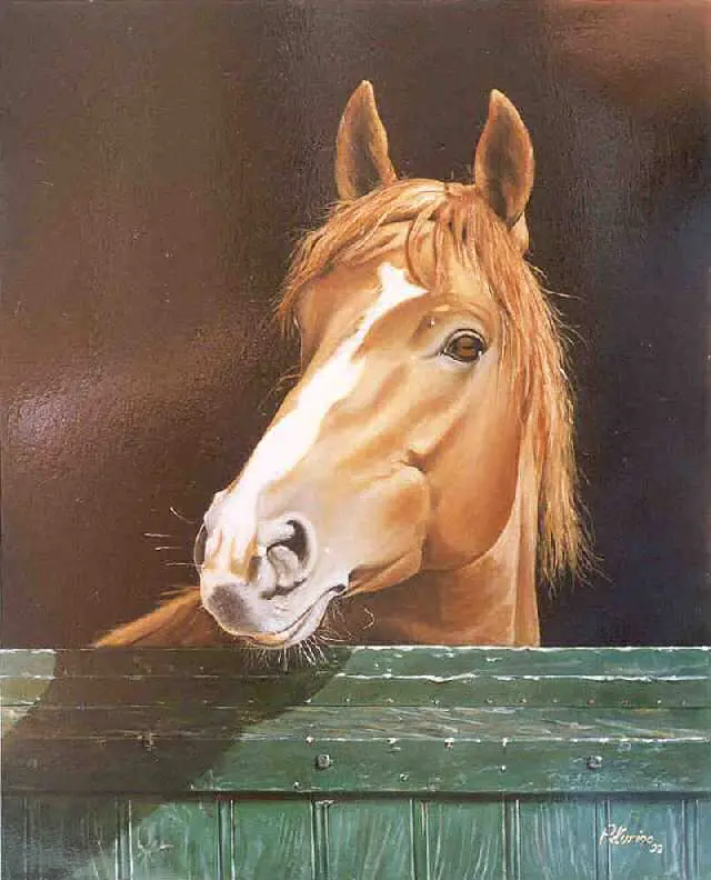 Dipinti animali